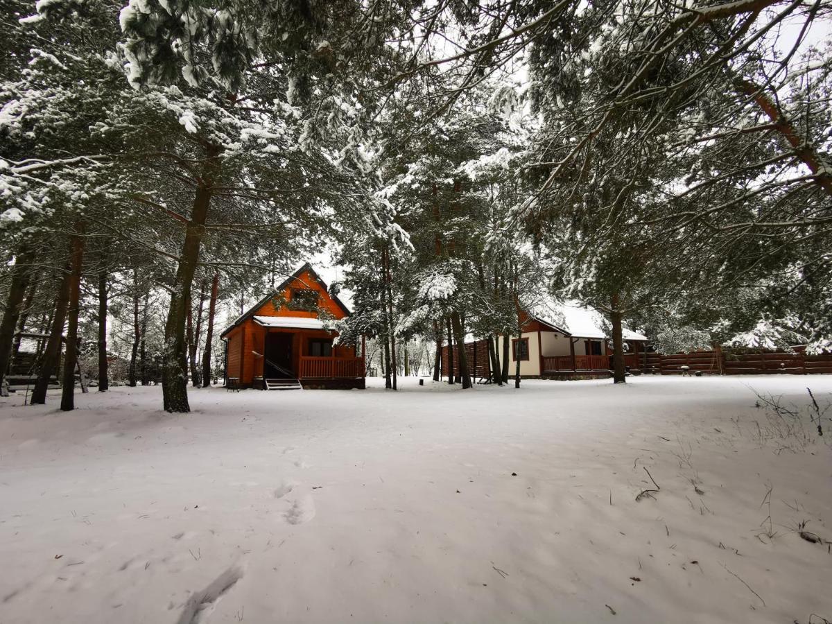 Ostoja Stacze Villa Bagian luar foto