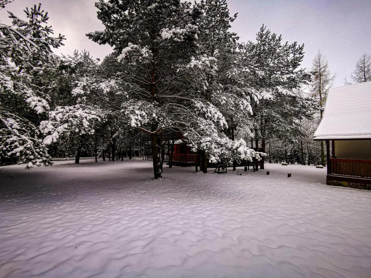 Ostoja Stacze Villa Bagian luar foto