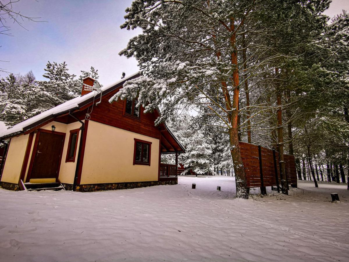 Ostoja Stacze Villa Bagian luar foto